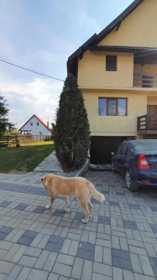 Popasul Galesean Ξενοδοχείο Galesu Εξωτερικό φωτογραφία