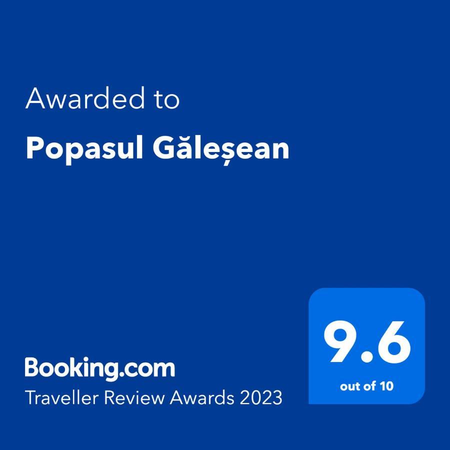 Popasul Galesean Ξενοδοχείο Galesu Εξωτερικό φωτογραφία